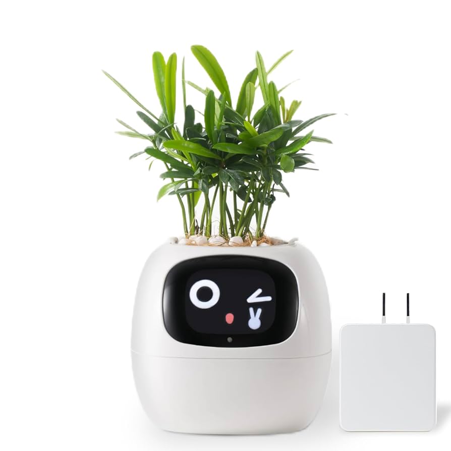 スマートプランター アイビー Smart planter Ivy 新生活 お友達 スマートプランター アイビー Smart planter Ivy 新生活 お友達